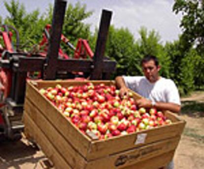 Pedro Serveto, agricultor e internauta.