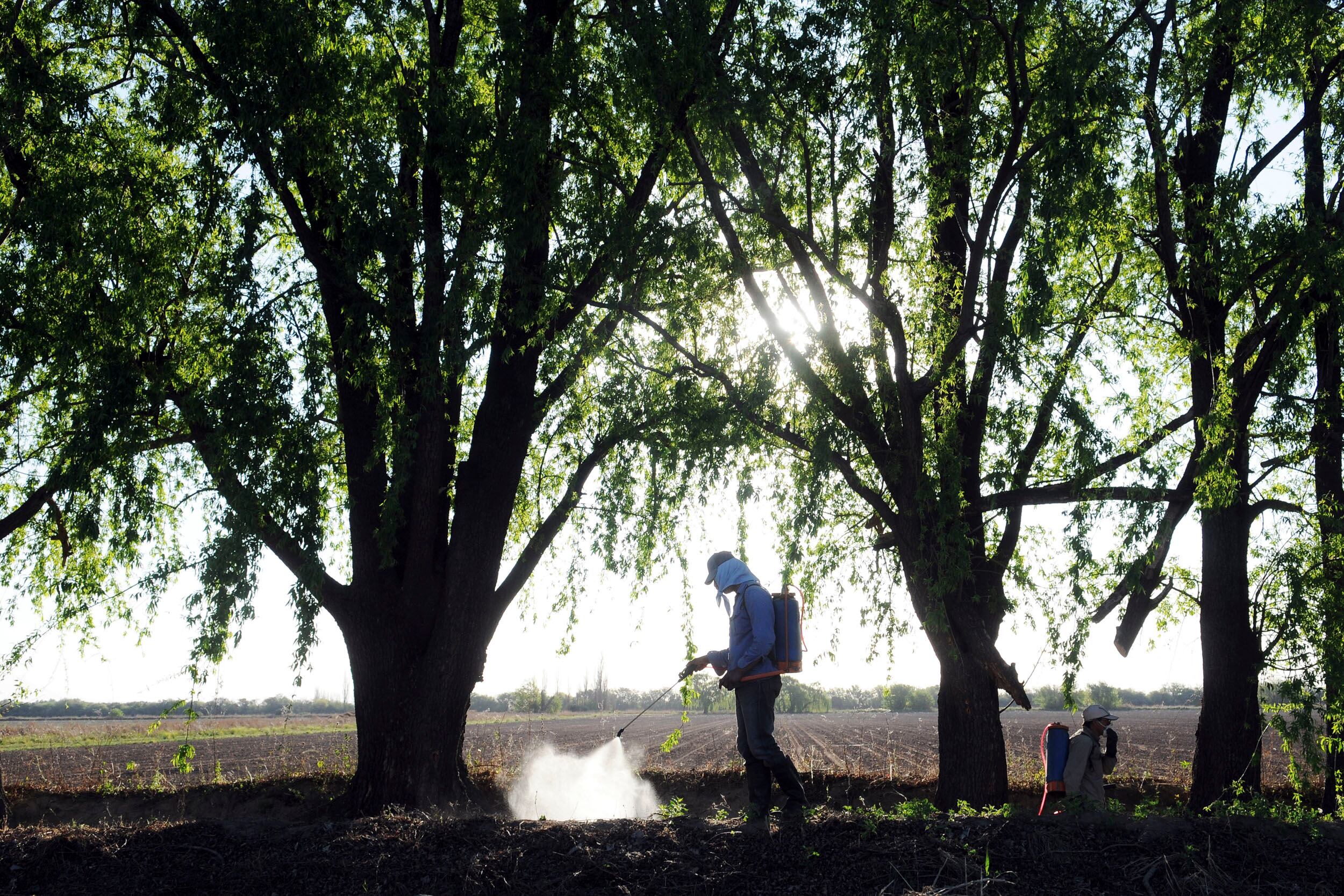 Un trabajador fumiga con glifosato para combatir la maleza en un campo de Córdoba, Argentina.