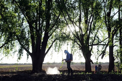 Un trabajador fumiga con glifosato para la maleza en un campo de Córdoba, Argentina.