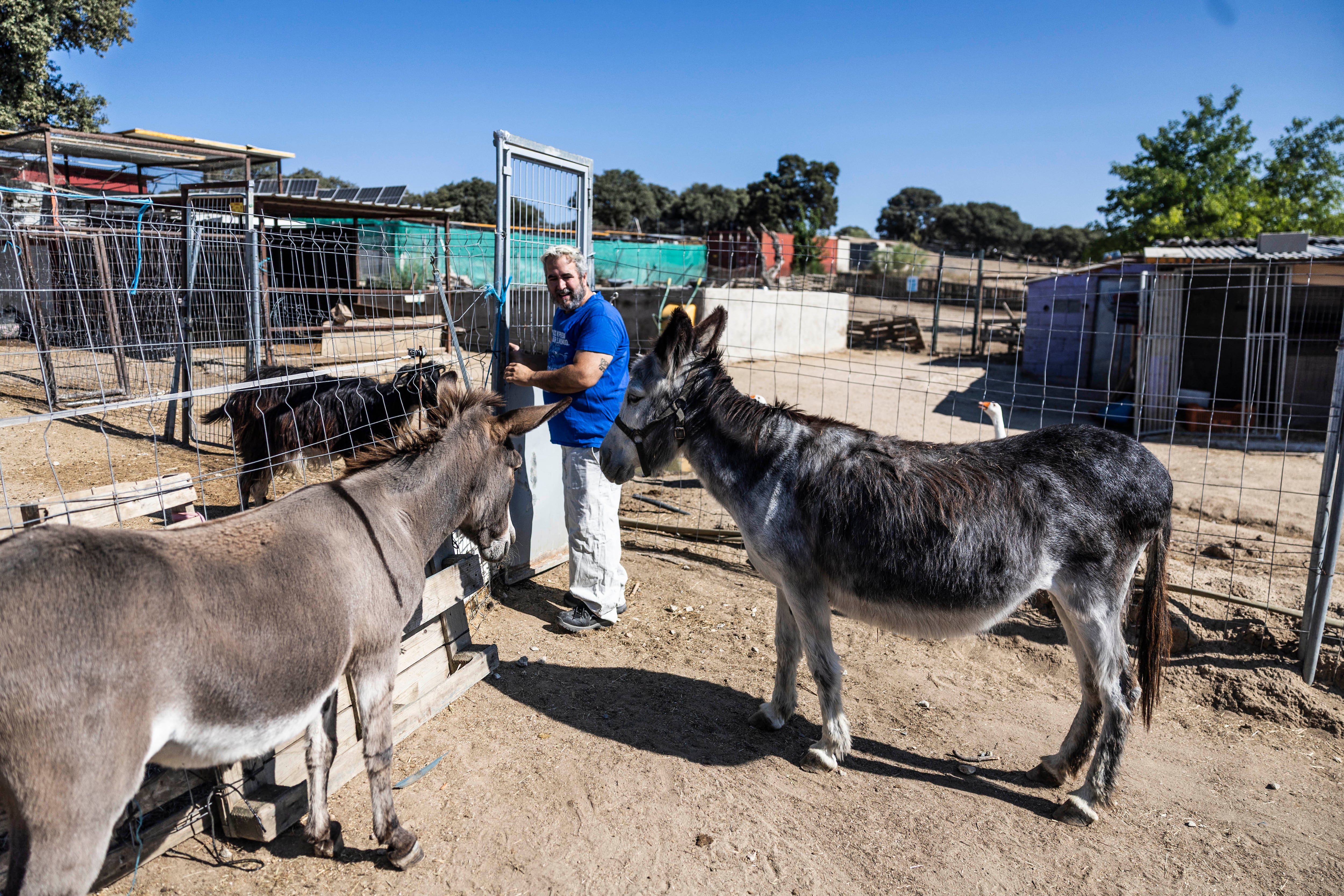 Un hogar después de las llamas: el santuario que rescata a los animales afectados por los incendios