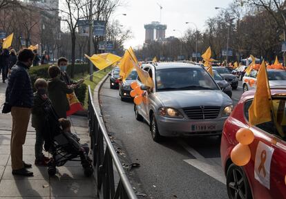 Manifestación contra la 'ley Celaá' en Madrid este domingo 20 de diciembre.