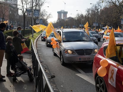 Manifestación contra la 'ley Celaá' en Madrid este domingo 20 de diciembre.