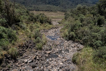 Un río en los alrededores del embalse de Chuza presenta bajos niveles de agua.
