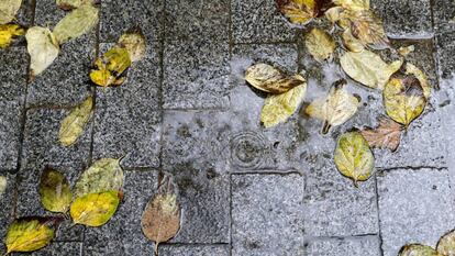 Una calle de Valencia mojada en las últimas lluvias.