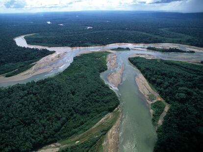 Imagem da floresta amazônica no Peru.