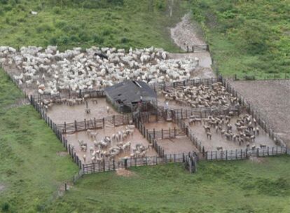 Una hacienda ganadera en medio de una zona deforestada de Maraba, en el Estado amazónico de Pará.