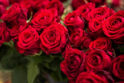 El Gremio de Floristas de Cataluña ha puesto en marcha la campaña #rosadesantjordiacasa para que quienes deseen mantener la tradición a pesar del confinamiento puedan comprar y enviar a domicilio una rosa durante el día de Sant Jordi, que se celebra el próximo 23 de abril.