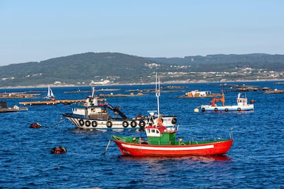 Barcos entre bateas de mejillones en el puerto de Lorbé, en el concello de Oleiros (A Coruña).