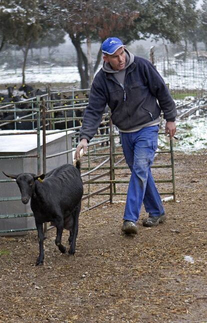 Hafet, from Morocco, one of the 1,000 shepherds in the Madrid region.