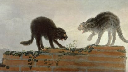 'Riña de gatos' (1786), de Francisco de Goya.