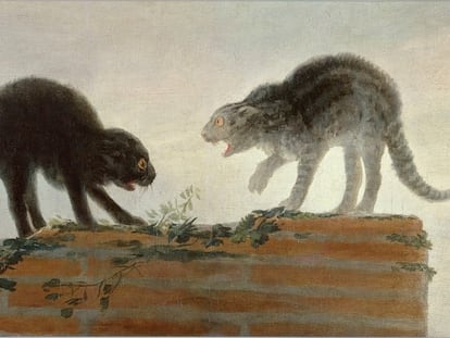 'Riña de gatos' (1786), de Francisco de Goya. MUSEO DEL PRADO