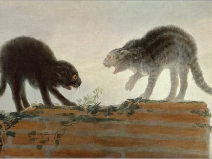 'Riña de gatos' (1786), de Francisco de Goya.