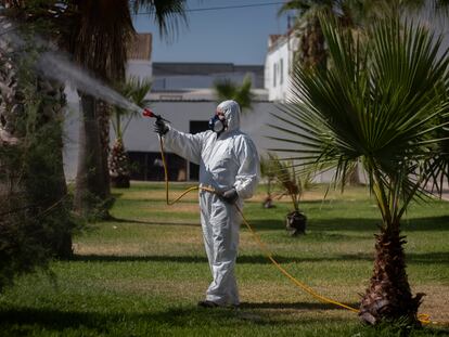 Un operario fumiga esta semana para matar mosquitos en jardines de Los Palacios (Sevilla).