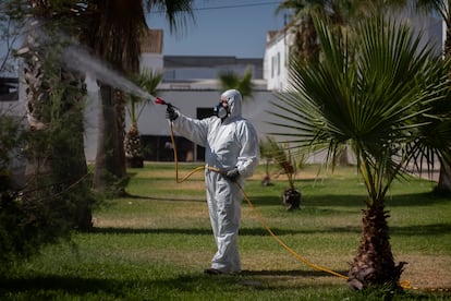 A worker fumigates mosquitoes in Los Palacios gardens in Seville.