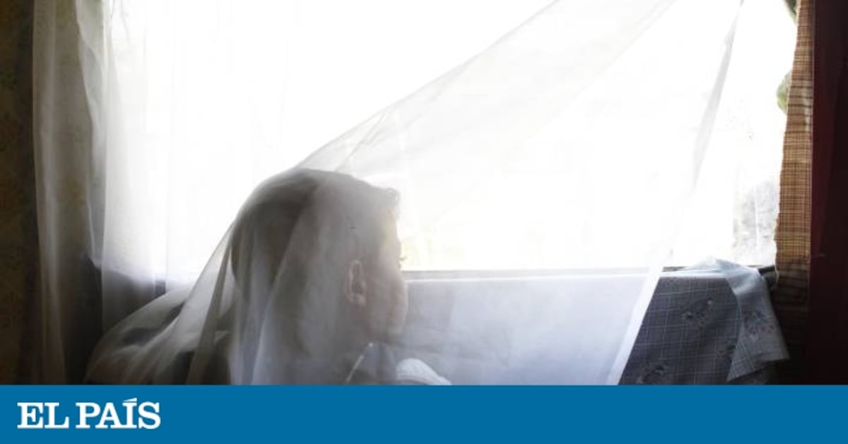 elpais.com