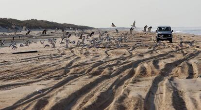 Un todoterreno por las dunas del parque nacional de Doñana.