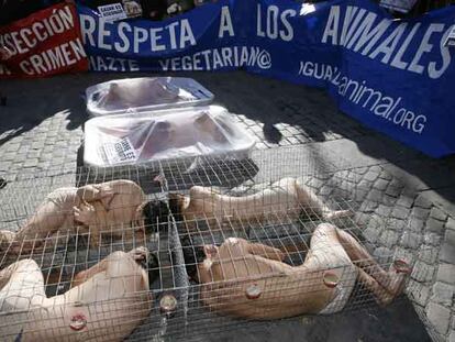 Un grupo de manifestantes desnudos, encerrados en jaulas para animales en la Puerta del Sol.