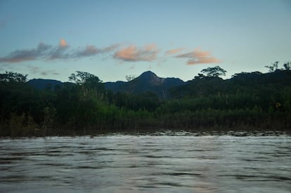 Vegetación camino a San Miguel del Bala por el río Beni, principal vía de comunicación entre los pueblos indígenas del entorno del Parque Nacional Madidi.