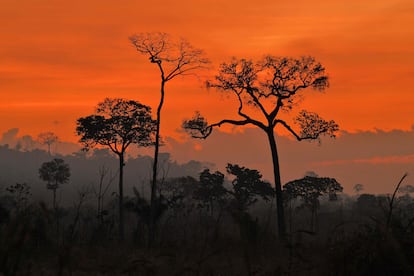 El humo de los incendios intencionados impregna el aire del atardecer en la Amazonia.