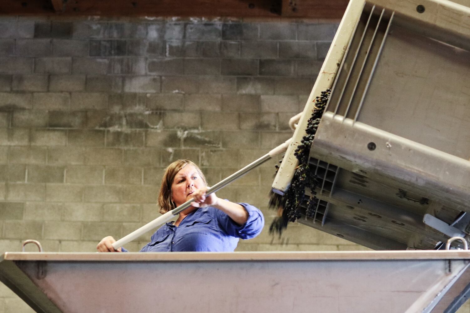 Elaine St. Clair, activista del vino, Valle de Napa, California.