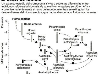 Árbol de familia