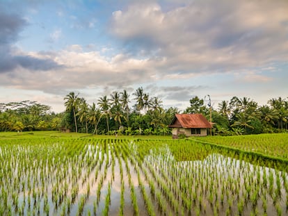 Uluwatu en Bali