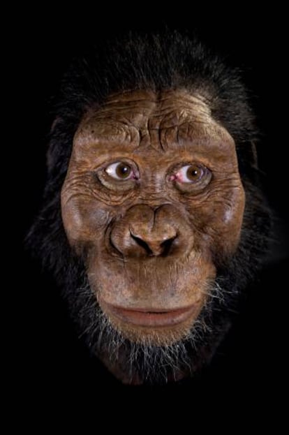 Reconstrucción del rostro del homínido presentado hoy en 'Nature'.