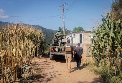 Elementos del Ejrcito mexicano durante un operativo de bsqueda de personas desaparecidas en Chilapa, Guerrero, en octubre de 2024.