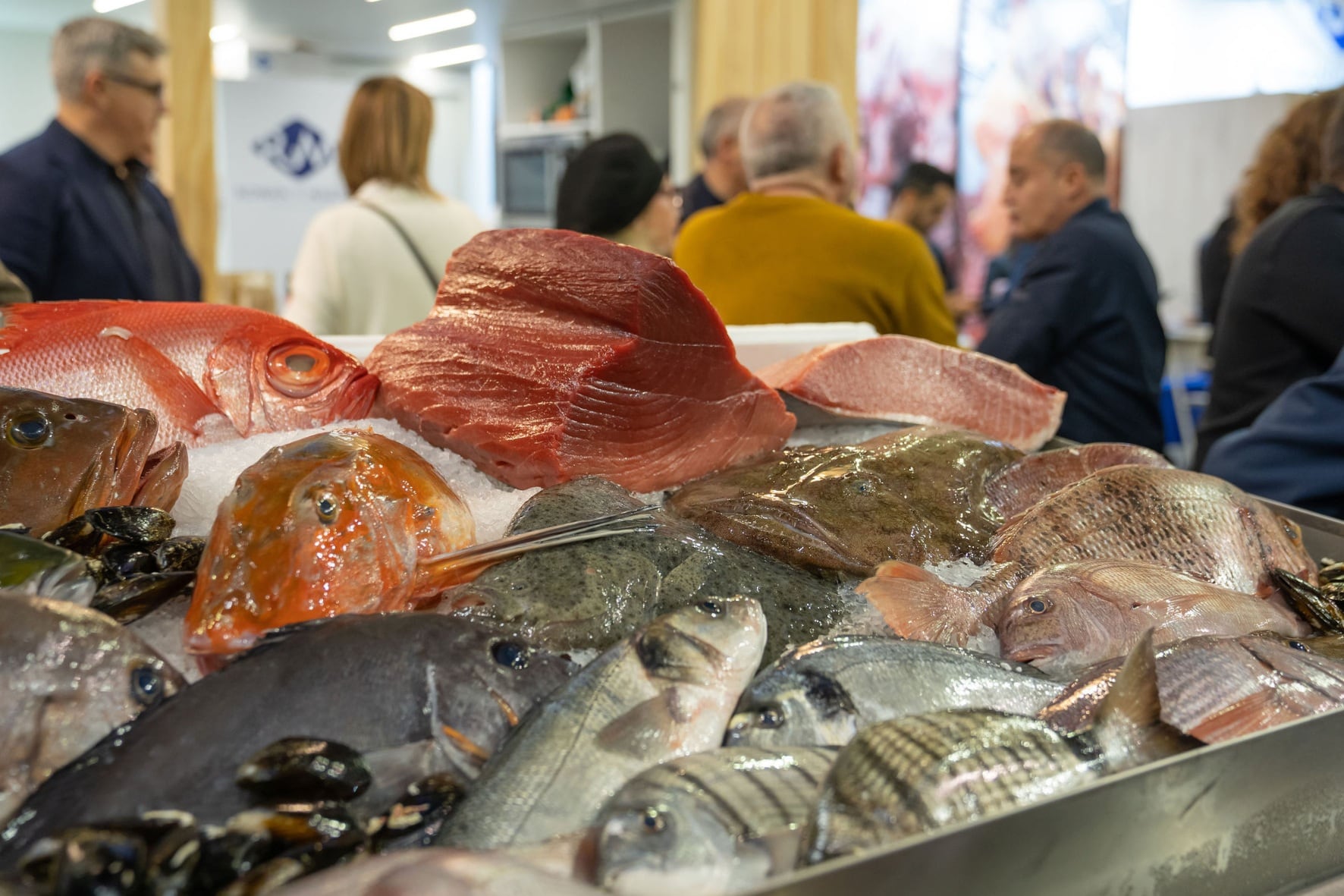 Variedad de pescados.