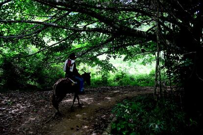 Para sacar las mercancías desde Brasilar hasta San Jacinto, el mercado más cercano, es necesario recurrir a mulas debido a sus escarpados caminos.