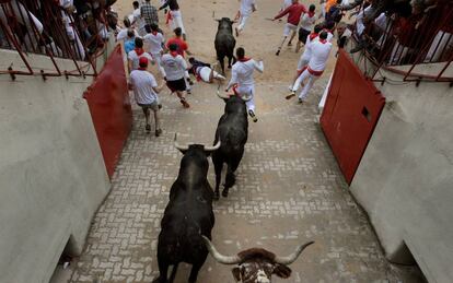 Los toros de Fuente Ymbro a su llegada a la plaza de toros de Pamplona.