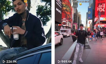 David González, Davicito creador de contenido en Tik Tok y coautores del tema Donaltron.