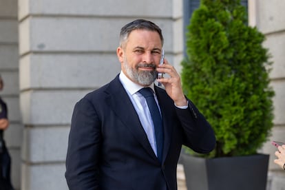 El líder de Vox, Santiago Abascal, durante una sesión plenaria extraordinaria, en el Congreso de los Diputados, a 22 de julio.