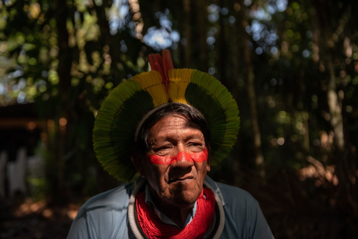 La agonía de las lenguas indígenas de la Amazonia ante la amenaza de la ...