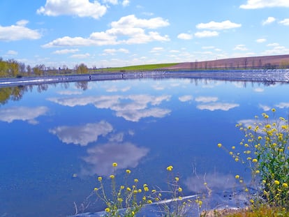 El ecosistema de las tres lagunas de la Dehesa de Abajo, en Medina del Campo (Valladolid), ha sido recuperado por Aqualia, tras años de sobreexplotación de los acuíferos.
