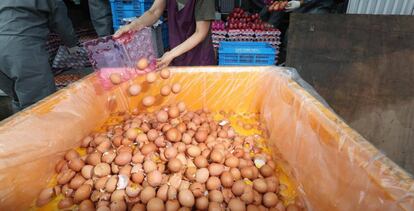 Destrucción de huevos en Corea del Sur, uno de los países afectados.