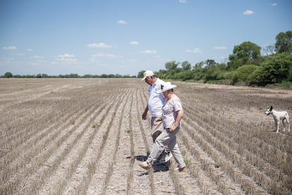 Griselda Ruiz, granjera de 60 años, y su marido pasean por los campos de soja.