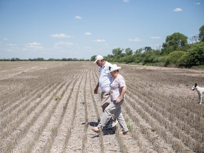 Griselda Ruiz, granjera de 60 años, y su marido pasean por los campos de soja.