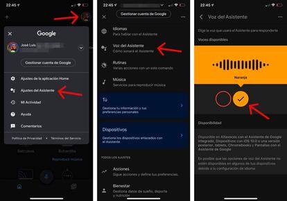 Escoge la voz de tu asistente de Google.