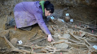 Trabajos de exhumaci&oacute;n de restos de una fosa de la Guerra Civil en Zigoitia (&Aacute;lava).