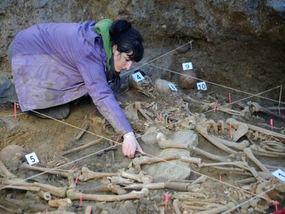 Trabajos de exhumaci&oacute;n de restos de una fosa de la Guerra Civil en Zigoitia (&Aacute;lava).