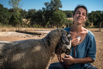 Pilar Codony escriu la novel·la des de la seva posició de veterinària de granja, a Vilafreser (Pla de l’Estany).