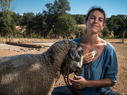 Pilar Codony escriu la novel·la des de la seva posició de veterinària de granja, a Vilafreser (Pla de l’Estany). 
 