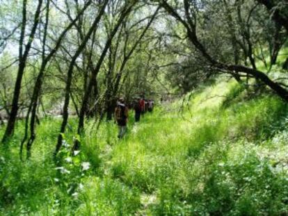 Excursionistas junto al cauce del río Perales, en Madrid.