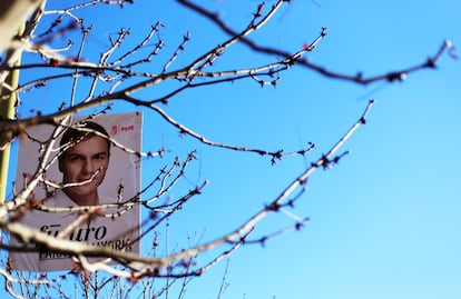 Alguien, en algún sitio, algún día, tuvo la feliz idea de colgar los carteles de las ramas de los árboles. Se supone que luego los arrían de las alturas. Pero ahí siguen algunos cabezas de lista, oteando el horizonte. Ahí tenemos a Pedro Sánchez, con gesto de discernir entre quienes le piden que tire para adelante y pode por lo sano y quienes le advierten de los peligros de que las ramas no le dejen ver el bosque.