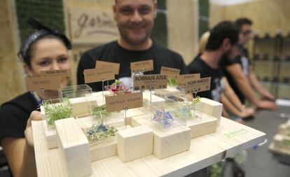 Un muestrario de plantas en los expositores de la feria gastronómica.