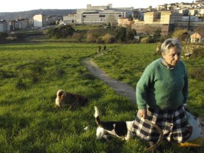 Imagen de la finca orensana Santamarina