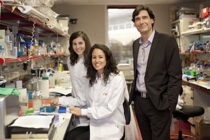 Los investigadores del CNIO Ana Ortega-Molina, Elena López Guadamillas (sentada) y Manuel Serrano.