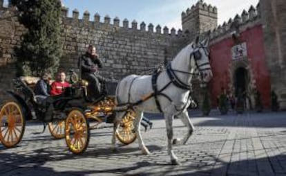 El Real Alcázar de Sevilla, uno de los palacios reales en uso más antiguos del mundo, ha conseguido atraer a sus jardines y salones durante el pasado año a un 4,63 por ciento más de personas, por lo que ha rozado el máximo histórico de visitas.