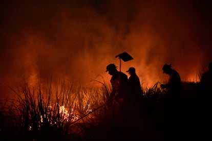 Firefighters tackle fire in a field as forest fires ravage the Bolivian Amazon in San Buenaventura.